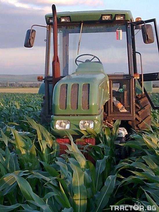 Болгар ТК-80